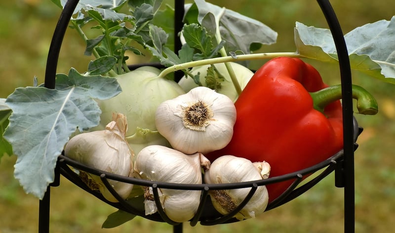 Exotic Ingredients